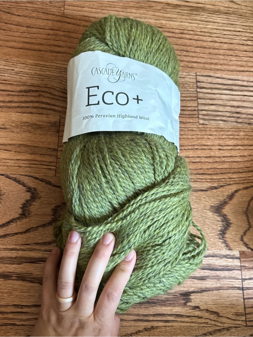 Cascade Eco + Yarn 100% Peruvian Highland Wool Green Bulky 250g Knitting Crochet